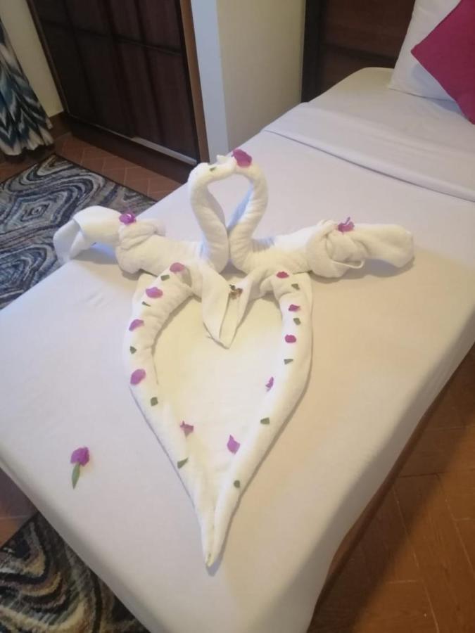 Dolphin Hotel El Qoseir Zewnętrze zdjęcie